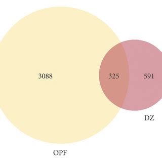 @dz.venn|venn portal.